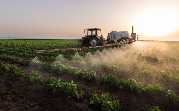 Best Pest Control Near Me  in Deridder, LA