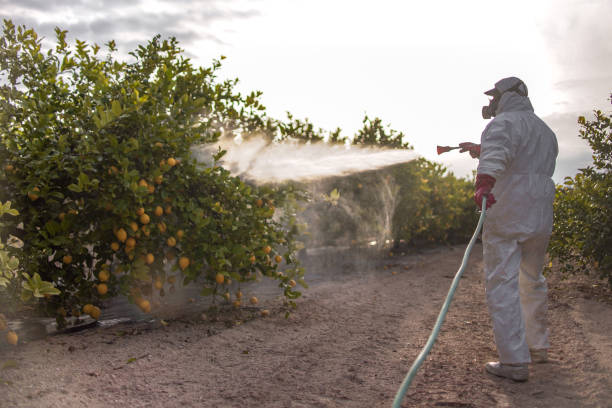 Best Pest Control for Restaurants  in Deridder, LA