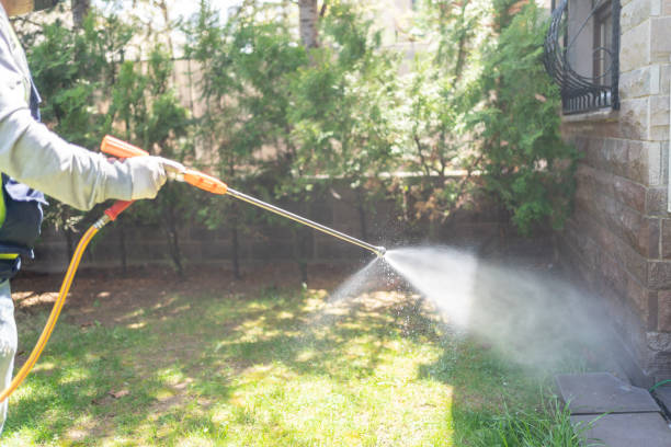 Best Rat Extermination Near Me  in Deridder, LA