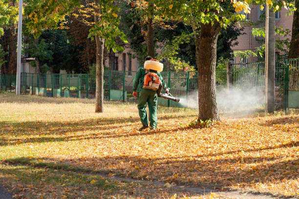 Best Best Pest Control Companies  in Deridder, LA