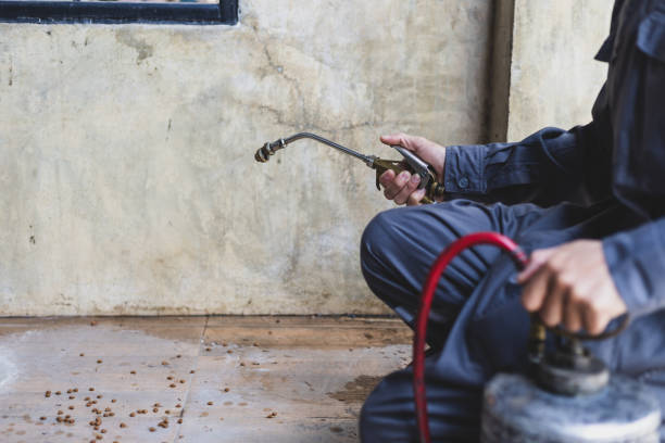 Best Cockroach Control Services  in Deridder, LA